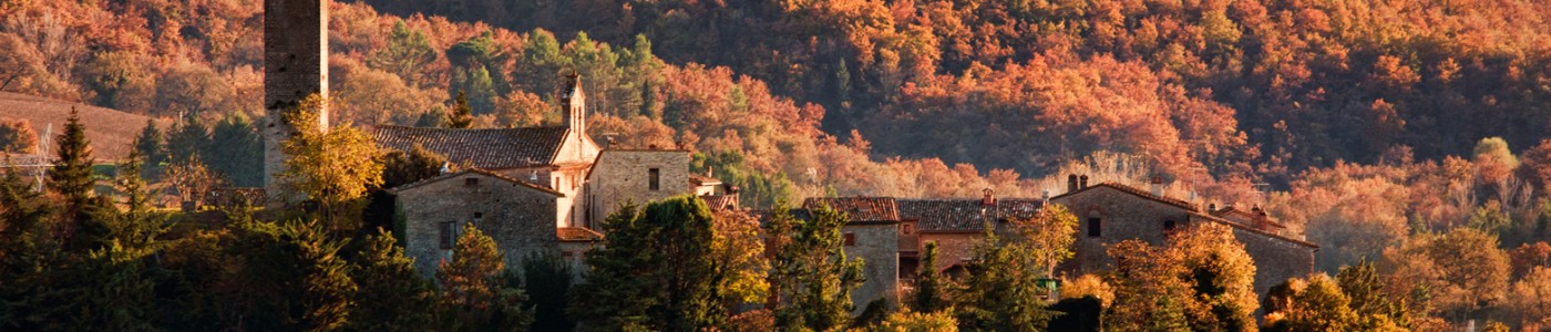 Borgo di Rotecastello - San Venanzo